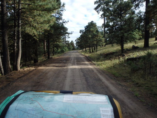 GDMBR: Nearly as we could tell (no road segment felt higher than this point), this is probably Continental Divide Crossing #25 of the Great Divide Mountain Bike Route (GDMBR).
